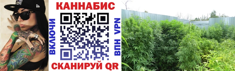 Бошки Шишки OG Kush Нязепетровск